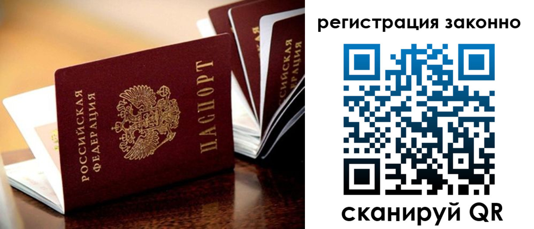 прописка для школы в Павловске